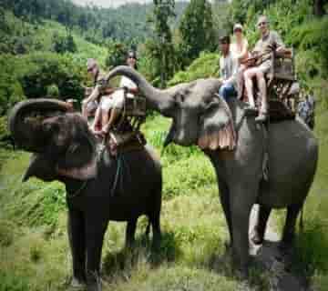 One day safari elephant trekking bamboo rafting chiang mai tour