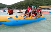 Pattaya Coral Island with Parasailing Sea walker Jet skeeing Banana boat CD with Indian Lunch