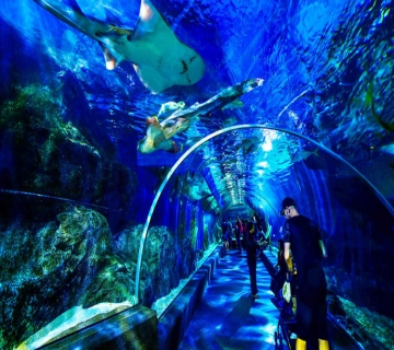 Underwater world Pattaya Tour 