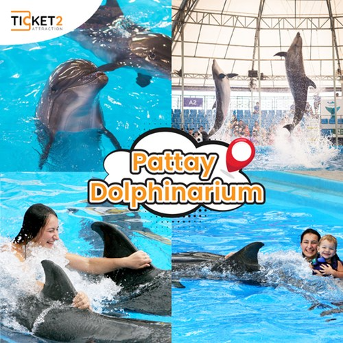 The Luxury White Cruise