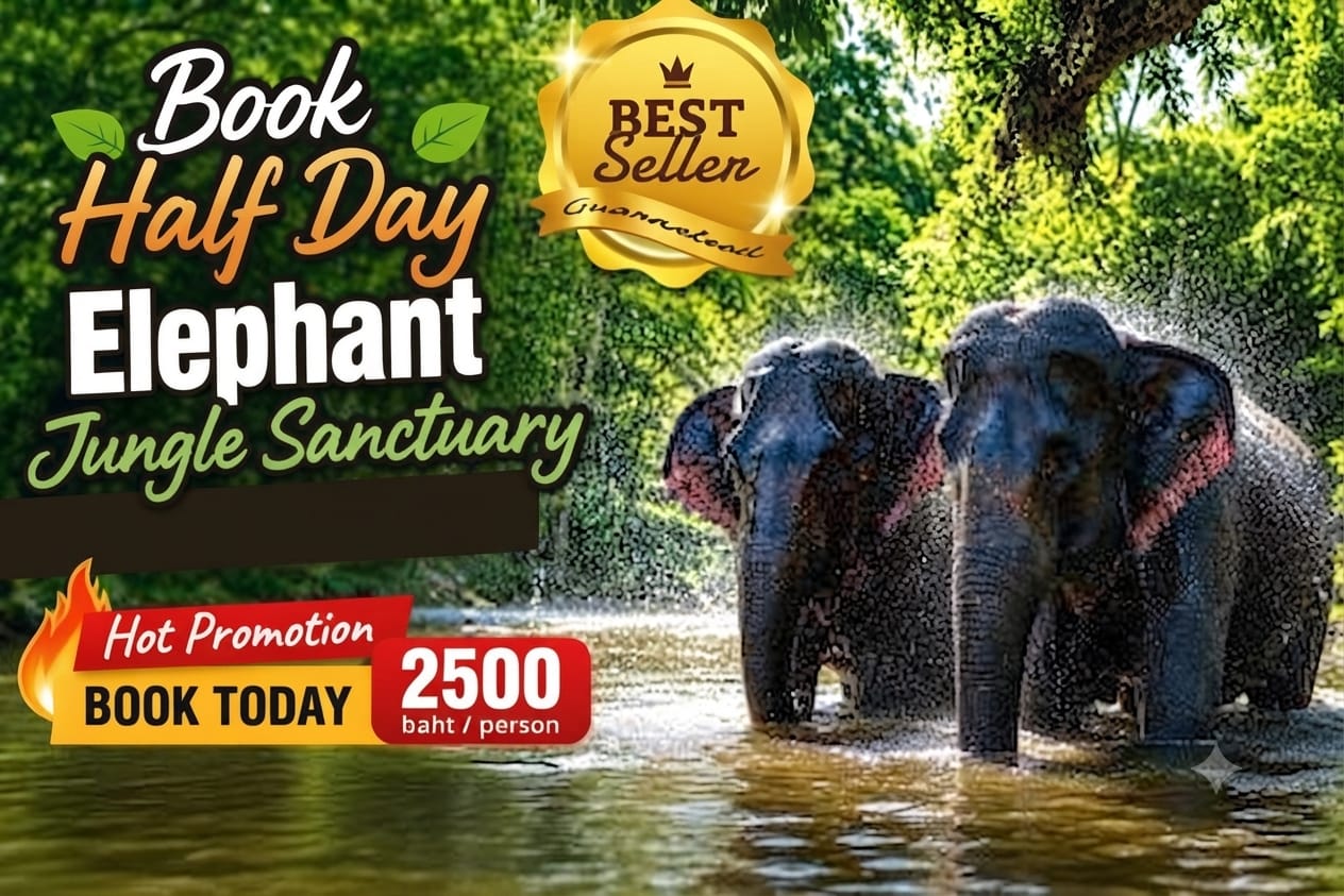 Half Day Elephant Jungle Sanctuary Tour